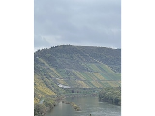 Mosel