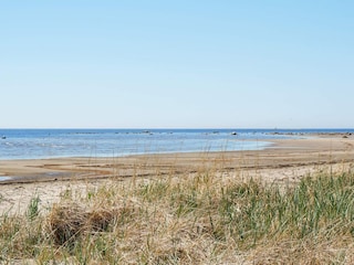 Ferienhaus Falkenberg (Schweden)  4