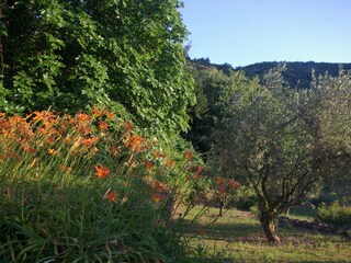 Appartamento per vacanze Saint-Florent-sur-Auzonnet Registrazione all'aperto 13