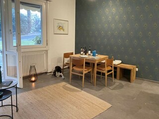 Holiday apartment Tremosine sul Garda Features 17