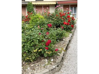 Holiday apartment Tremosine sul Garda Outdoor Recording 6