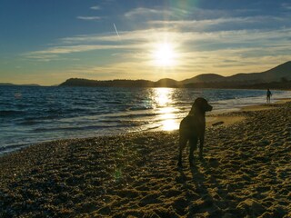Casa per le vacanze La Croix-Valmer Ambiente 25