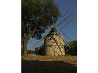 Casa per le vacanze La Croix-Valmer Ambiente 31