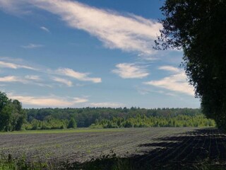 Parc de vacances Vierhuizen Environnement 23