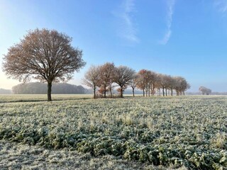 Parc de vacances Vierhuizen Environnement 18