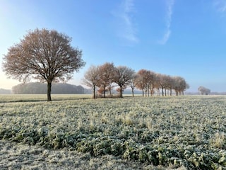 Parc de vacances Vierhuizen Environnement 23
