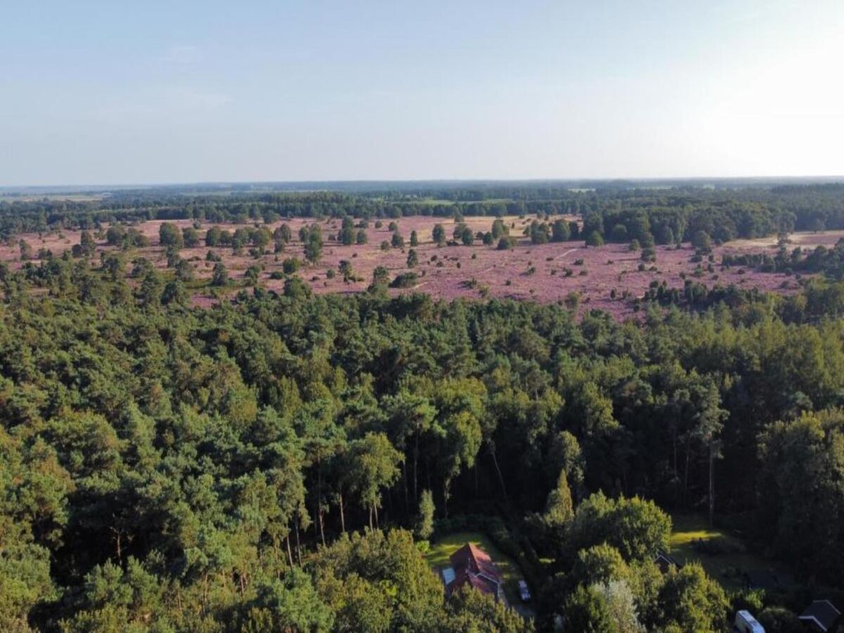 Parc de vacances Vierhuizen Environnement 19