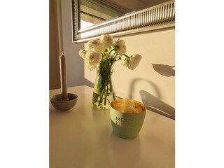 Appartamento per vacanze St. Peter-Ording Caratteristiche 8