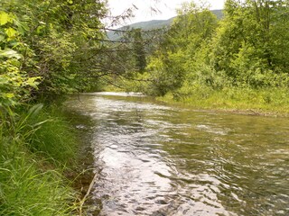 Casa per le vacanze Slocan Registrazione all'aperto 7
