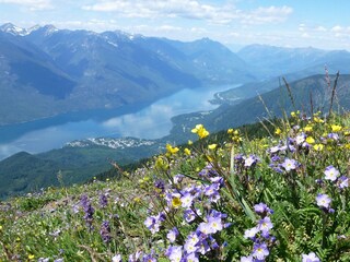 Casa per le vacanze Slocan Registrazione all'aperto 21