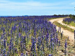 Vakantiehuis Löttorp  22