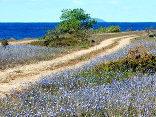 Vakantiehuis Löttorp  19
