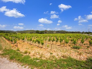 Casa per le vacanze Sillans-la-Cascade Ambiente 37