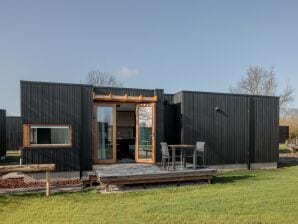 Tiny House mit Klimaanlage in einem Ferienpark in der Nähe des Grevelingenmeers - Scharendijke - image1