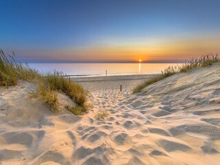 Vakantiepark Scharendijke Omgeving 16