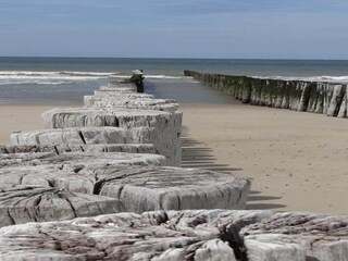 Vakantiepark Scharendijke Omgeving 30