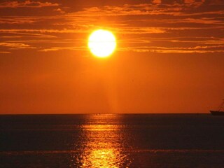 Ferienpark Scharendijke Umgebung 24