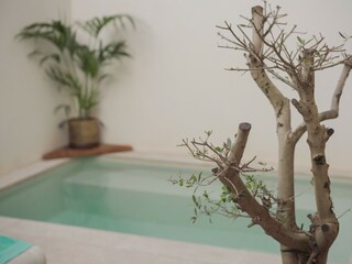 Casa a schiera Pollensa Registrazione all'aperto 2