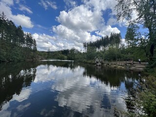 Vakantieappartement Hahnenklee Omgeving 29