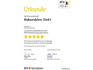 DTV