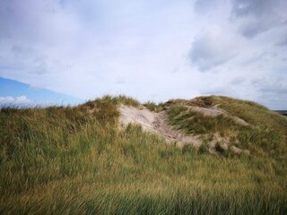 Vakantiehuis Nørlev Strand  31