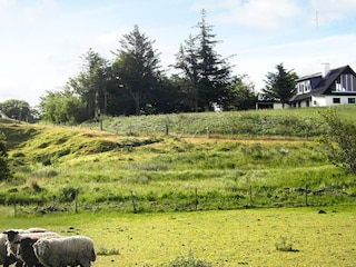 Maison de vacances Frøstrup  21