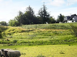 Vakantiehuis Frøstrup  22