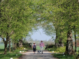 Apartamento de vacaciones Stoltenberg Entorno 20