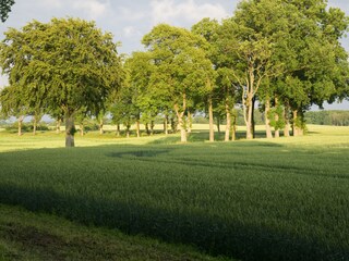 Appartamento per vacanze Stoltenberg Ambiente 15