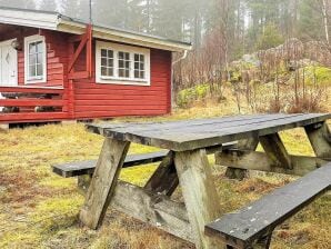 5 Personen Ferienhaus in SEXDREGA - Roasjö - image1