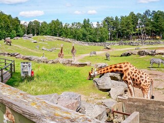 Vakantiehuis Roasjö  11