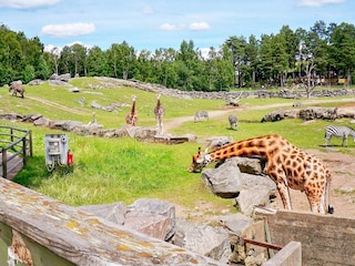 Ferienhaus Roasjö  13