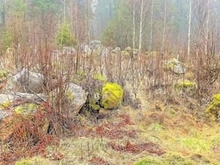 Ferienhaus Roasjö Außenaufnahme 6