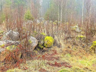Vakantiehuis Roasjö Buitenaudio-opname 2