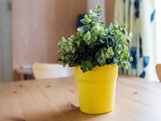 Trailer La Londe-les-Maures  40