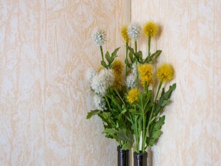 Rulot La Londe-les-Maures  40