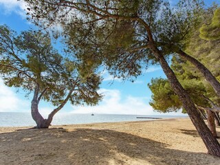Roulotte La Londe-les-Maures Environnement 37