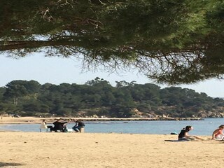 Roulotte La Londe-les-Maures Environnement 33