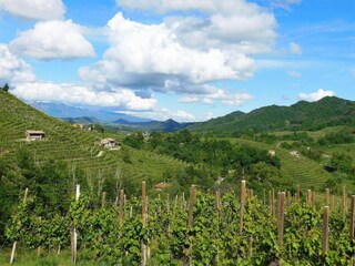 Chalet Caerano di San Marco Ambiente 37