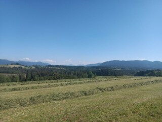 Ausblick Radlweg zur Erntezeit
