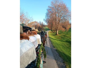 Tölzer Leonhardifahrt