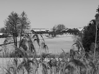 Rothenrain im Winter