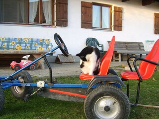 Rasantes Fahrgestell: Unser Kett-Car