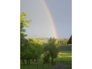 Naturschauspiel direkt vor der Haustür