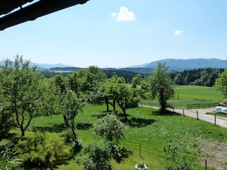 Bergblick vom Balkon aus (Blomberg, Brauneck)
