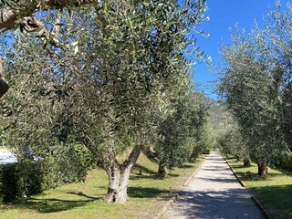 Appartamento Rio nell'Elba Registrazione all'aperto 9