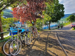 Radeln an der Mosel entlang