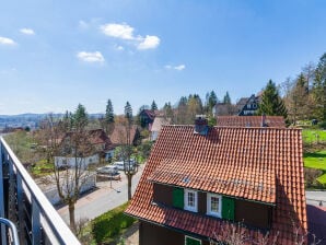 Ferienwohnung Jermersteinperle - Braunlage - image1