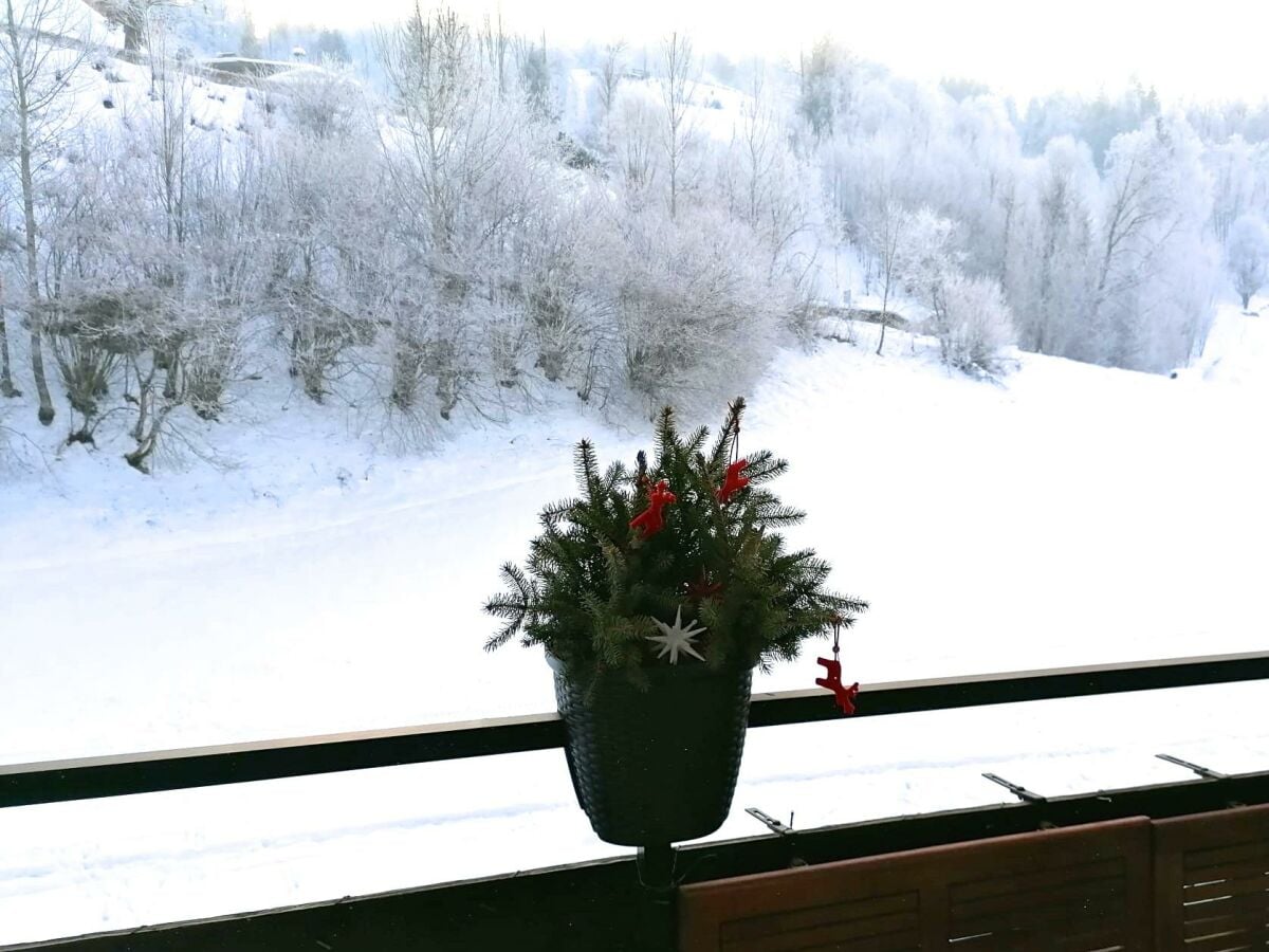 Aussicht Balkon - Horn Lounge - Winter