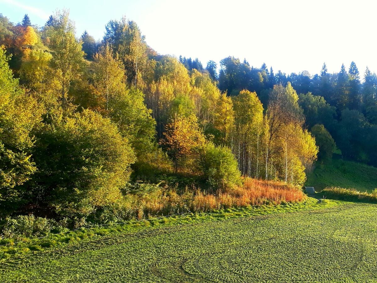 Aussicht Balkon - Horn Lounge -Herbst